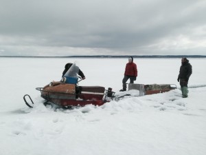 IMG_3378