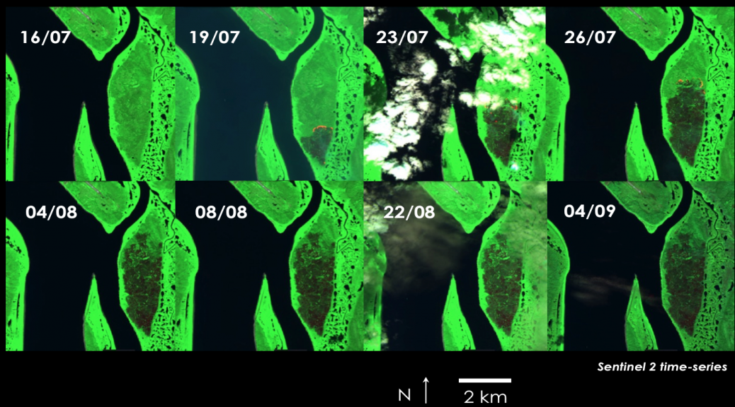 tomcar-sat-0